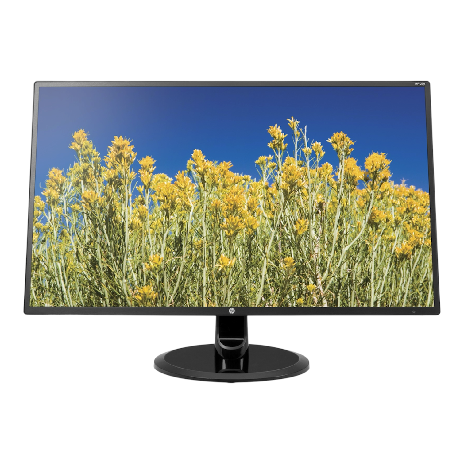 Monitor HP 27YH LCD Display Para Oficina Trabajo Pc